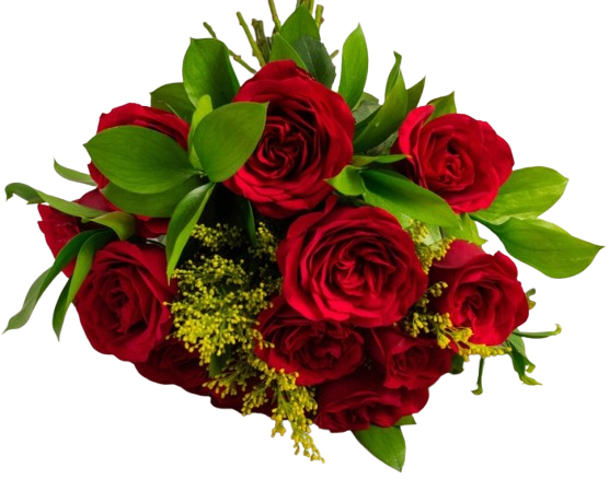 Rosas Vermelhas