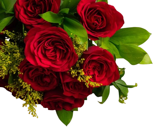 Buquê de Rosas Vermelhas